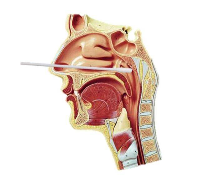 牛!新加坡唾液檢測盒30分鍾檢測冠狀病毒,網友質疑靠譜否