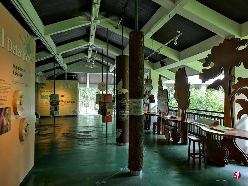 到圣淘沙趴趴走,来个轻松愉快的徒步慢游