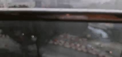 新加坡大暴雨:马路变河、草坡变瀑布!25人被困,1人送医