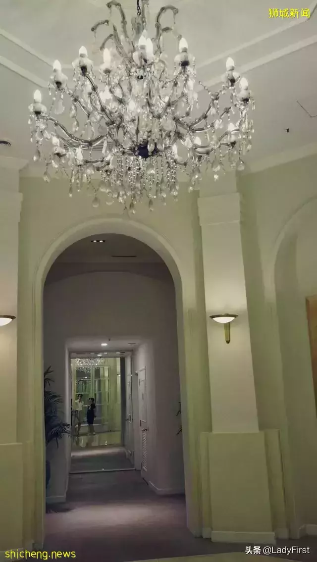 去过好多次新加坡，可我最爱打卡的地方还是这 3 个小众时髦地