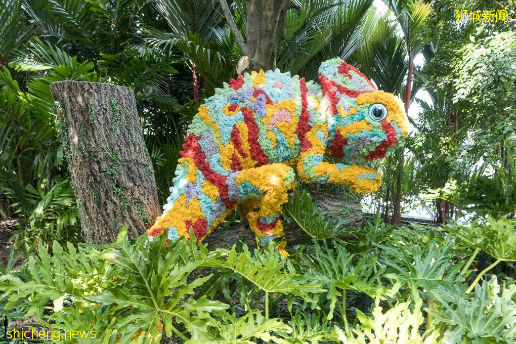 新加坡，星耀樟宜 (Jewel Changi Singapore)