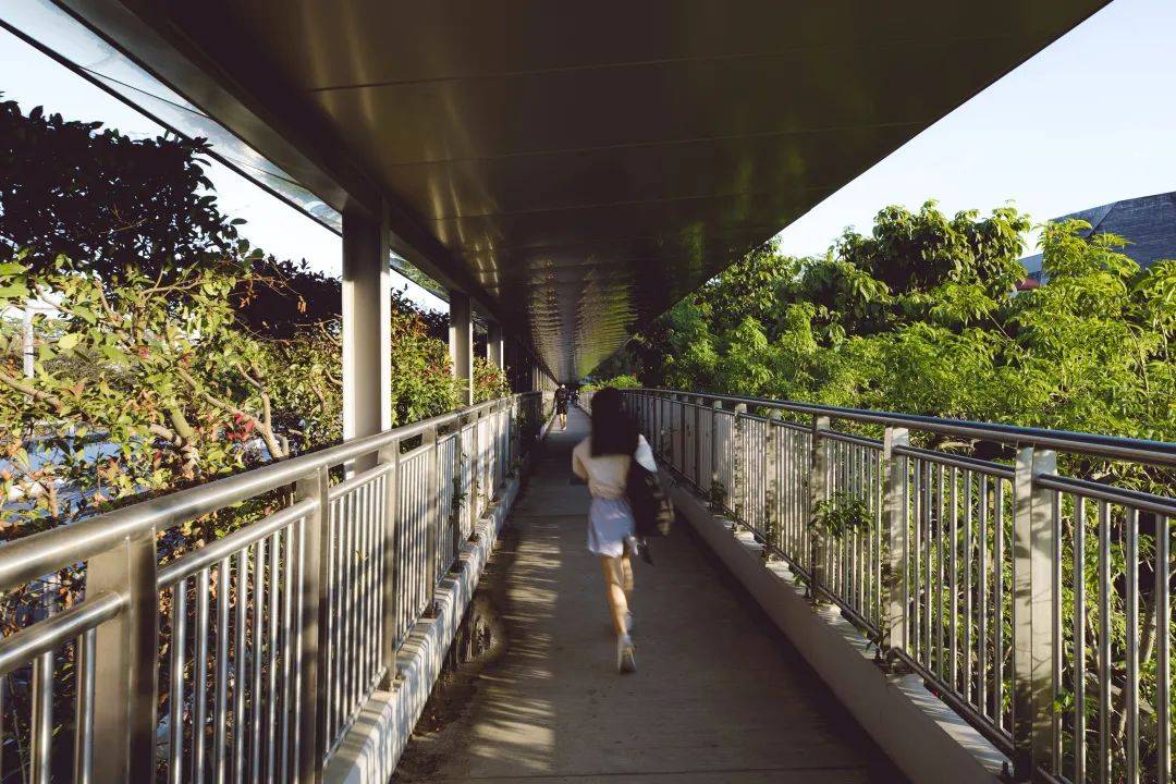 人間四月,來感受新加坡國立大學的春天