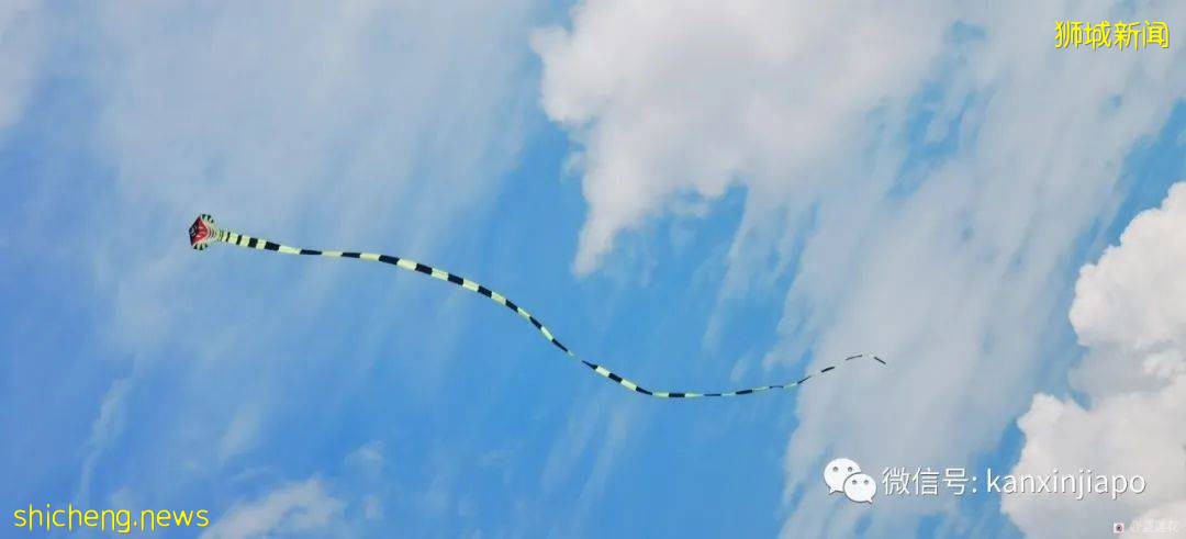 新加坡小众遛娃好去处,吃喝玩乐一应俱有