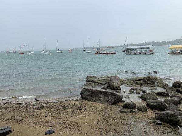 下海捉花蟹   险遭龙王召   青年被海岸卫队救起
