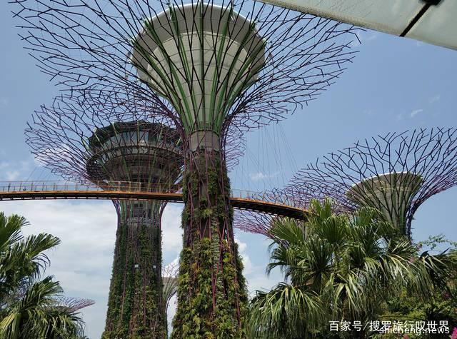新加坡旅游需要注意什么？这3点在中国很正常，在新加坡要被罚款