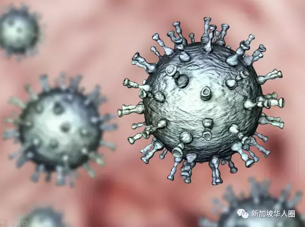 311例，奧密克戎病例激增！新加坡專家：目前防疫措施足以應對