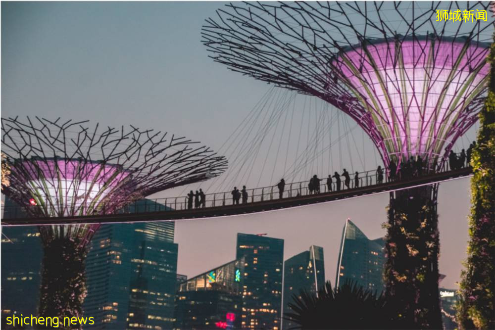 这个520,狮城拍了拍你并与你“新”动有约