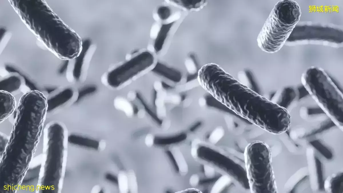 研究探讨肠道微生物如何影响人们健康和老化过程