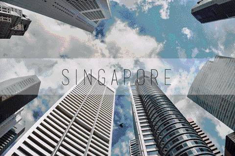 花園城市 在新加坡到底有多少華人