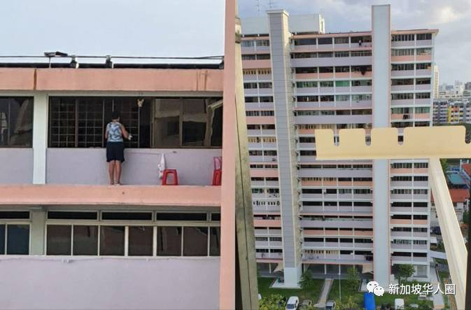 新加坡又发现女佣以身犯险在顶楼擦窗！网友：摔死的事件还不多吗