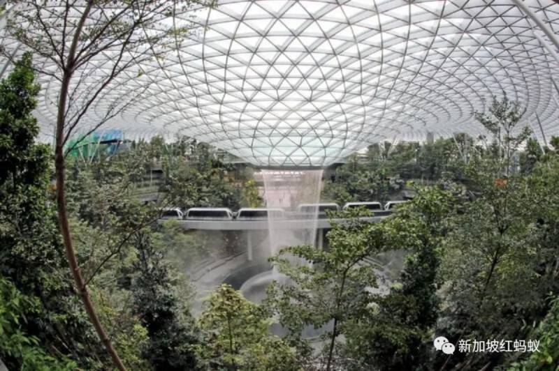 旅客都没了，全球机场不得不更改现有设计