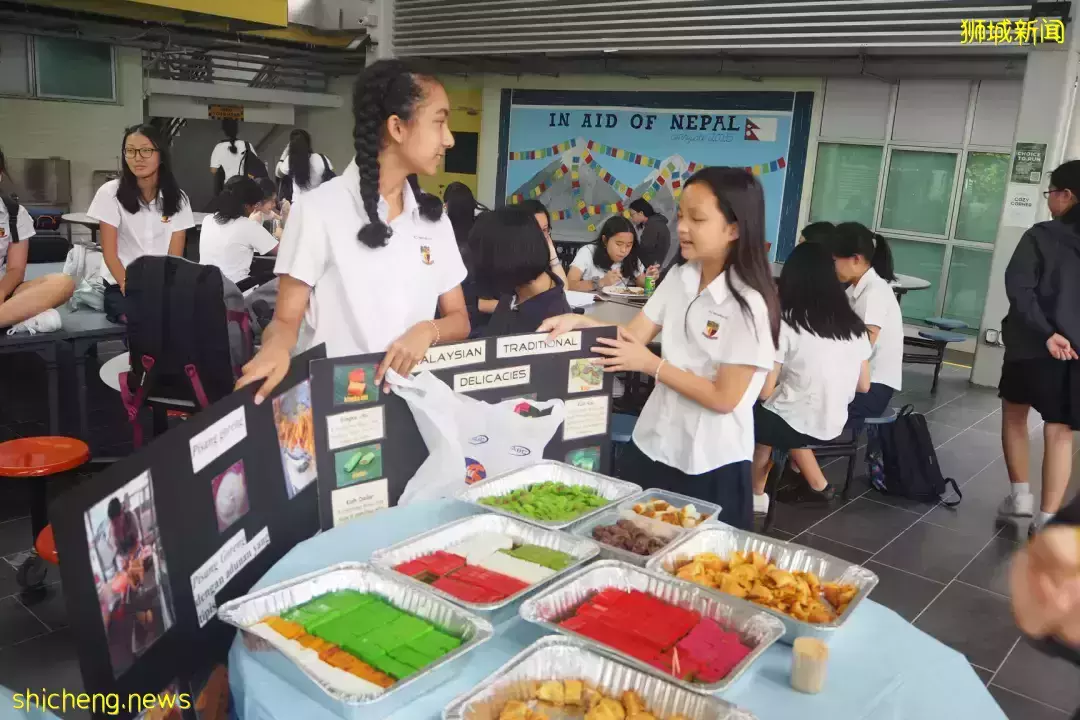 史上最強攻略!在新加坡如何選學校?國際學校vs政府學校,哪個好