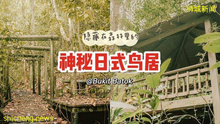 隐藏在新加坡的日式鸟居⛩️和凉亭，就在Bukit Batok