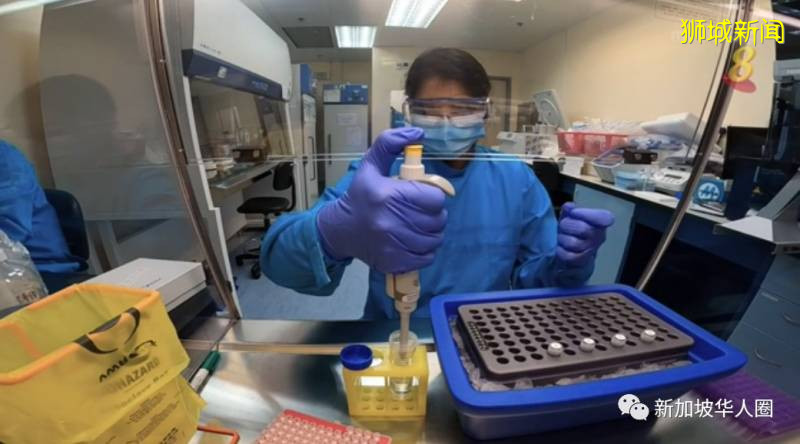 新增257例！社區病例開始下跌，新加坡研發檢測盒一小時出結果一