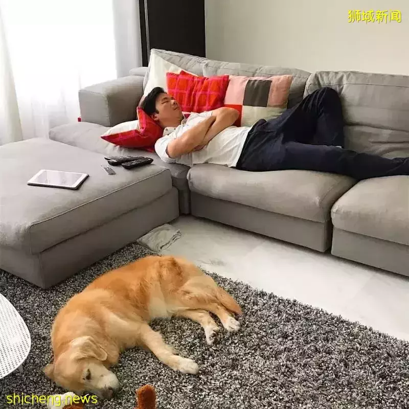 邻里学校毕业的草根领袖,凭什么成为新加坡政坛新“男主”