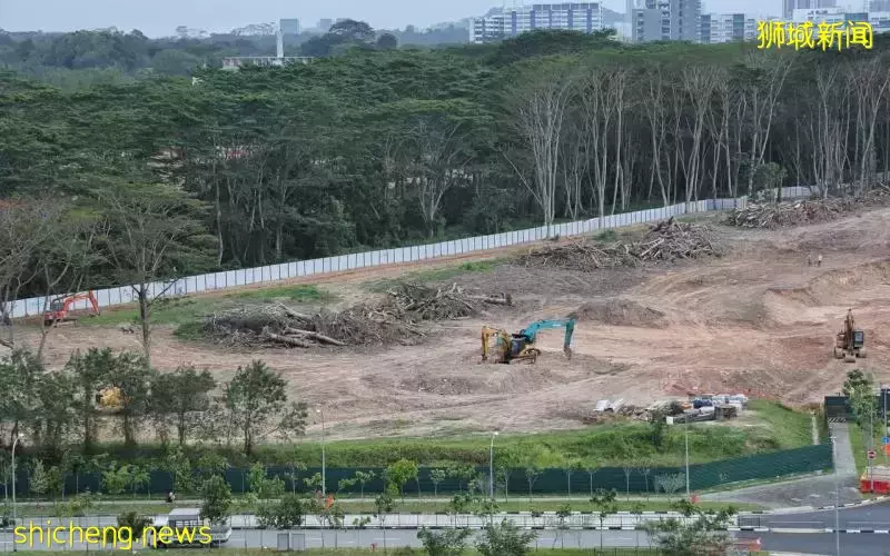 涉克兰芝林地误清事件 三人被控上法庭