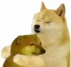 【苟活】我是新加坡第一個因爲大姨媽失血過多而進急診的衰狗嗎