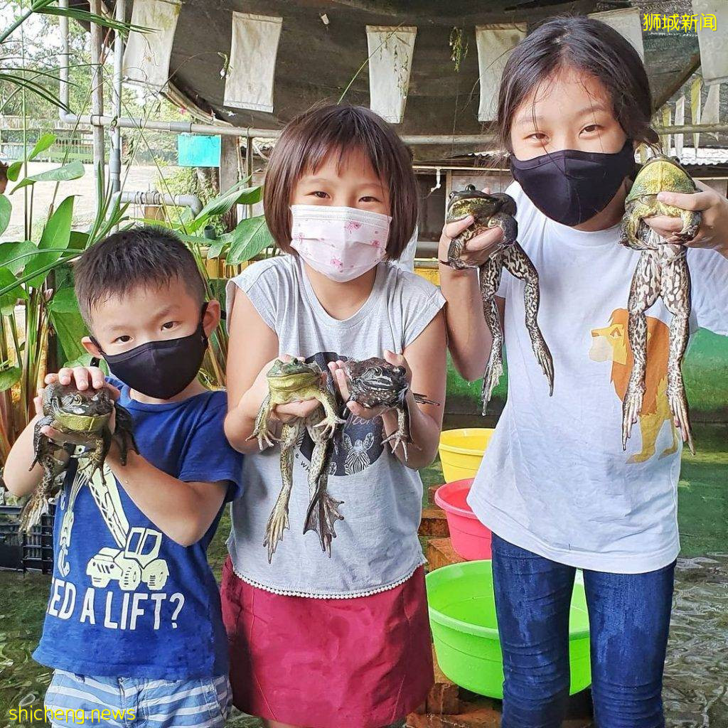 攻略收好、出發開啓親近動物之旅🦩從白天玩到晚上、10大景點近距離接觸小動物