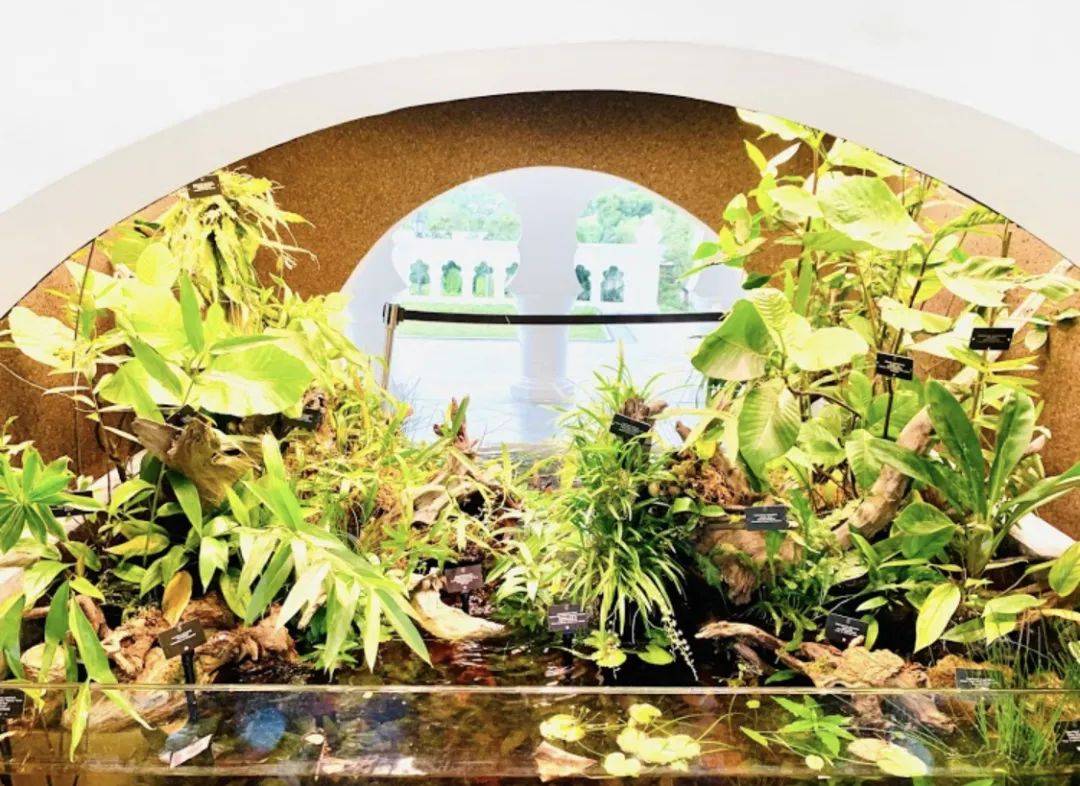 新加坡美术艺术馆大盘点,燃烧你的艺术之魂