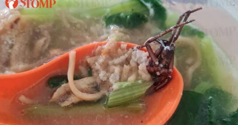 呕！新加坡小贩中心汤面里吃出整只蟑螂，外卖也中招