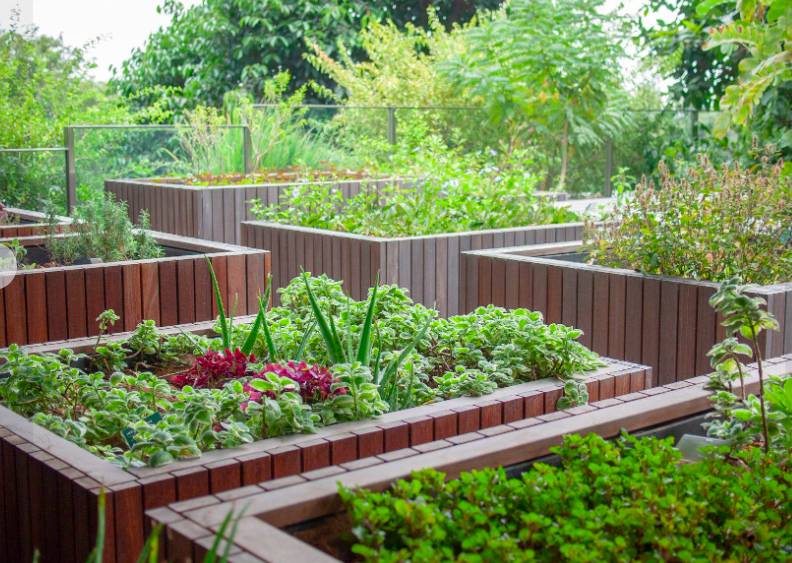 在CBD也可以擁抱綠色自然——細數新加坡那些鬧中取靜的Secret Garden