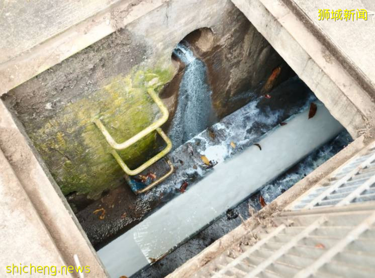 新加坡惊现牛奶河,PUB和NEA联合调查