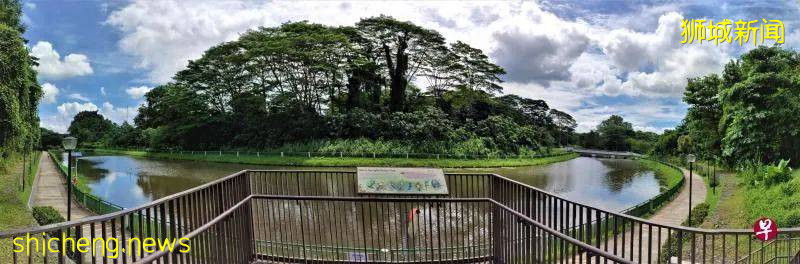 义顺组屋新镇有今天的发展规模，故事得从这个与实里达河共生并存的春叶自然公园说起