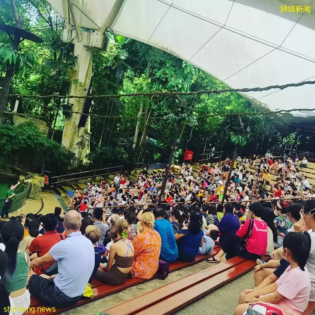 曼谷機場被新加坡人擠爆！小長假期間，新加坡到處都是人從衆