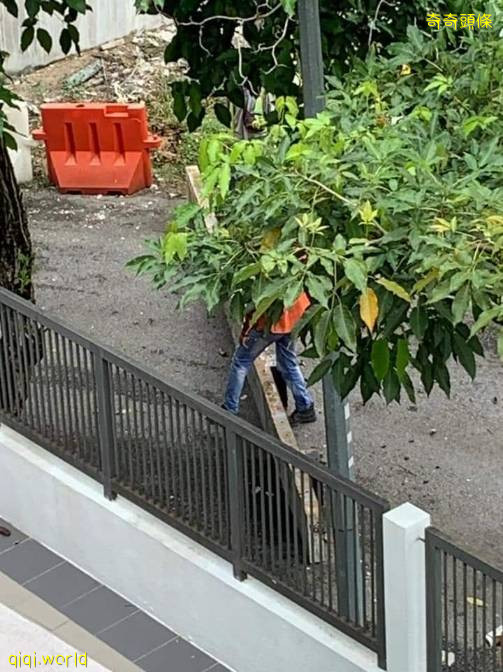 又一单！钢柱“从天而降”SUKE大道工程