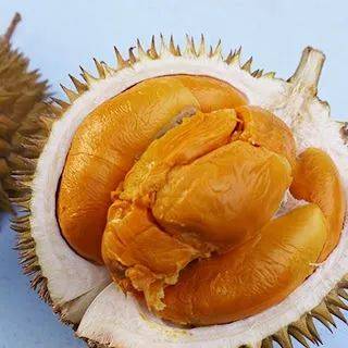 新加坡榴梿全攻略！實拍挑戰芥末和燒烤榴梿！太刺激了