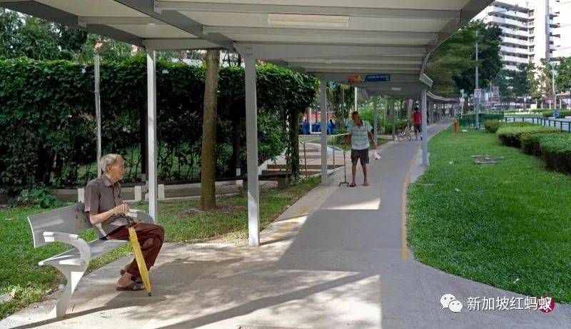 狮城最贴心的一道风景:无处不在的有盖走廊