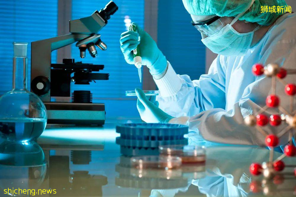 新加坡 后疫情时代移民的首选之地