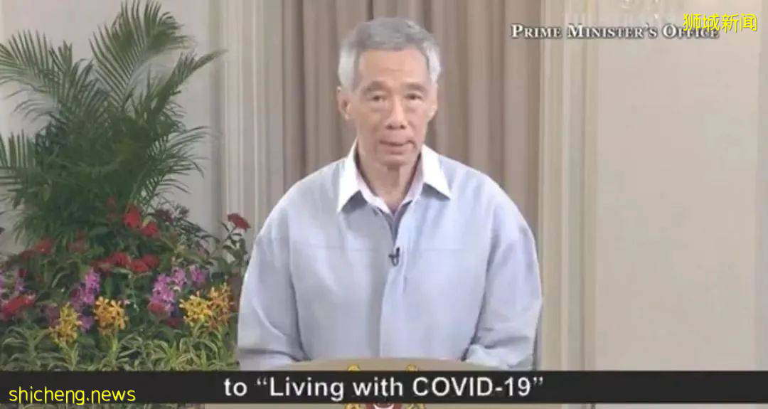 全球疫情出现神秘拐点!新加坡为什么最终和病毒共存?有这7大原因