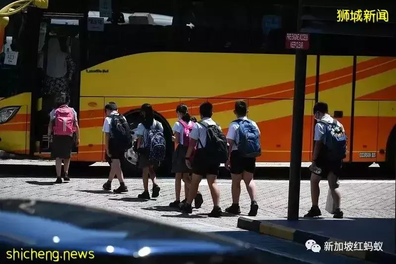 马国小学生书包重达6公斤被令“减重” 狮城小学生书包轻多了