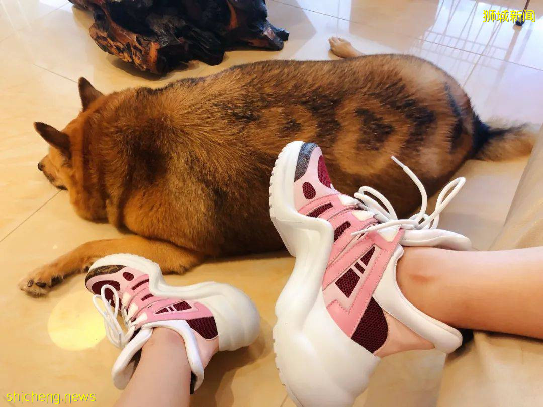 “我最亲爱的四喜走了,带走了我在新加坡16年的青春和回忆...”