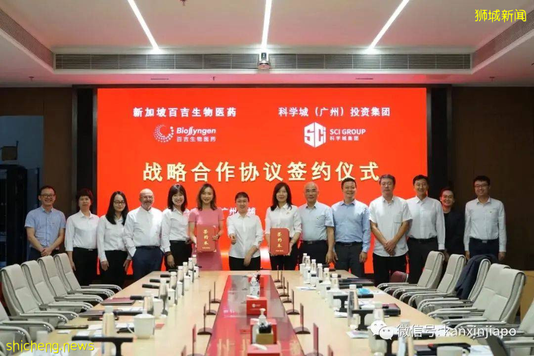 中新動態 中新關系展現出前瞻性、戰略性和示範性