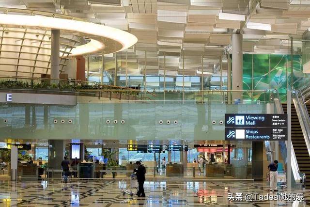 凭什么去新加坡都为它刷屏