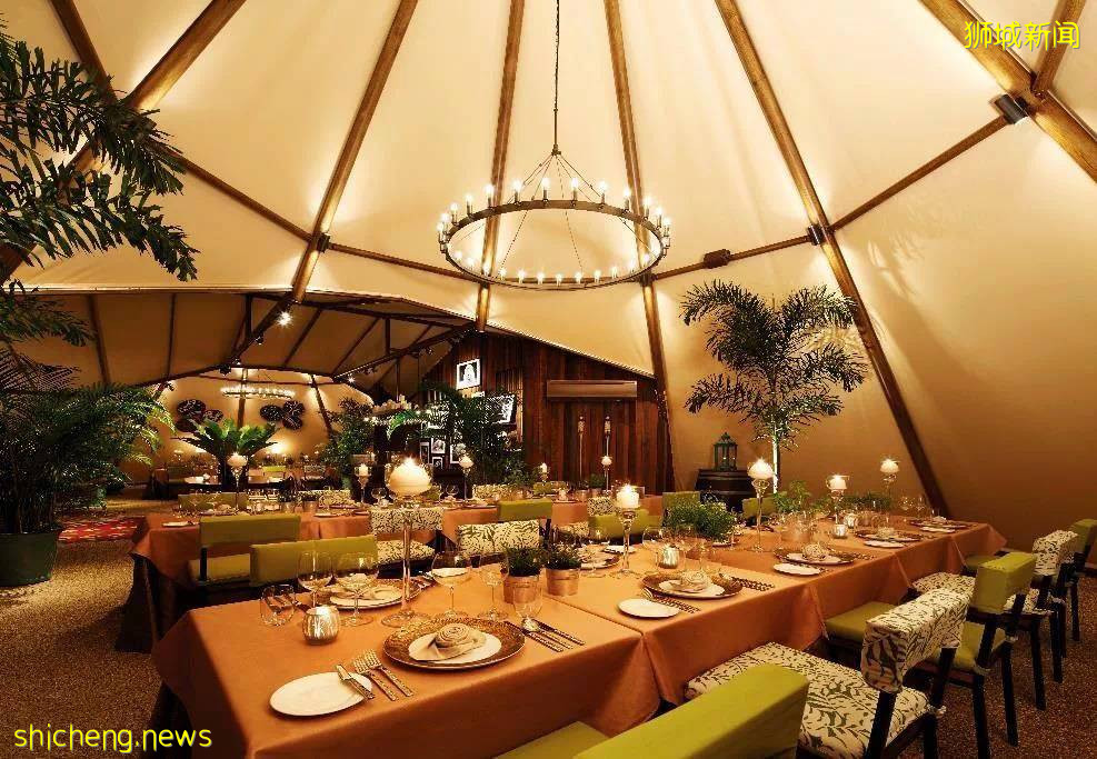 在新加坡野生動物園來一場VIP營地晚宴是怎樣非凡的體驗