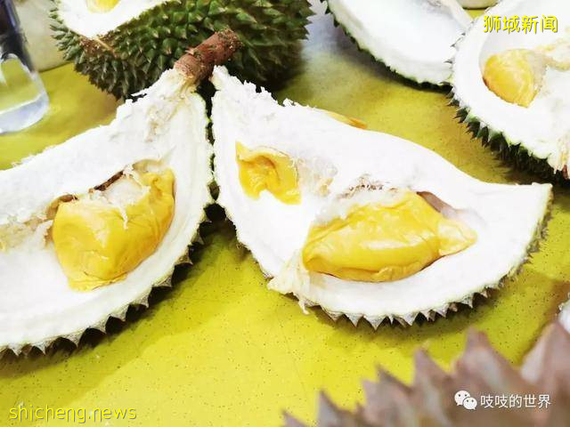 這是一篇不正經的新加坡深度試吃報告(一)!