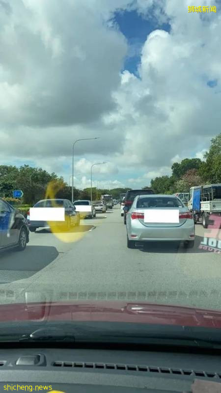 新加坡解封首個周末,22起交通事故!野雞闖入地鐵站!已經忘了怎麽出門!