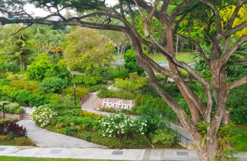 玩在獅城 周末一起去大自然裏野餐——新加坡最適合野餐的十大自然公園