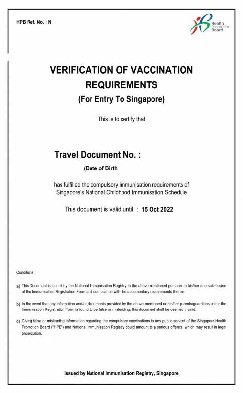 12歲及以下外國兒童入境新加坡的重要文件