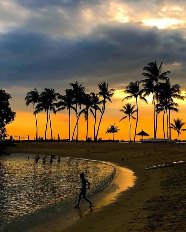 圣淘沙全新配套!超IN 夜间游艇,探索南部岛屿 🌊 1小时海上巡游+免费鸡尾酒🍸