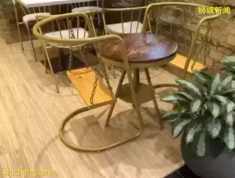 你以为的新加坡真的是你以为吗