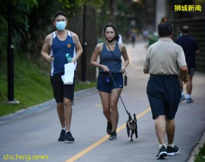 三只染疫猫咪被安乐死!宠物染病该何去何从