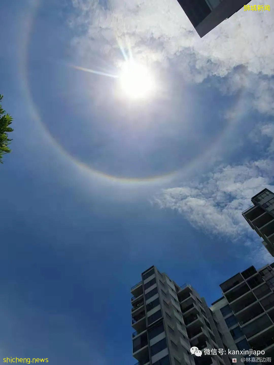 罕见!新加坡出现日晕,祥瑞之兆