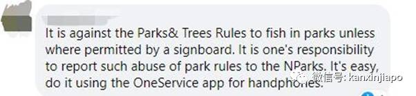 新加坡小桂林钓到大红尾鲶鱼!却不知不觉中违法了