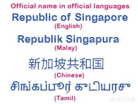 “新加坡电子身份证”功能超强大，陪读妈妈、LTVP、女佣都能注册啦