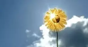 在新加坡遭遇突如其来的家庭变故，让我心乱如麻