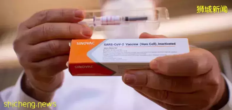 陈振声:儿童版辉瑞下周将运抵新加坡!家长问为什么不选科兴